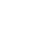 X Icon